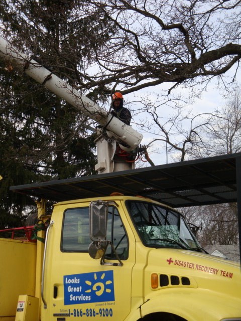 Avatar for LOOKS GREAT SERVICE