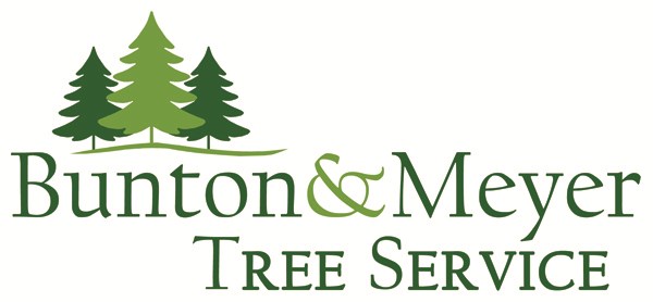Bunton & Meyer Tree Service logo