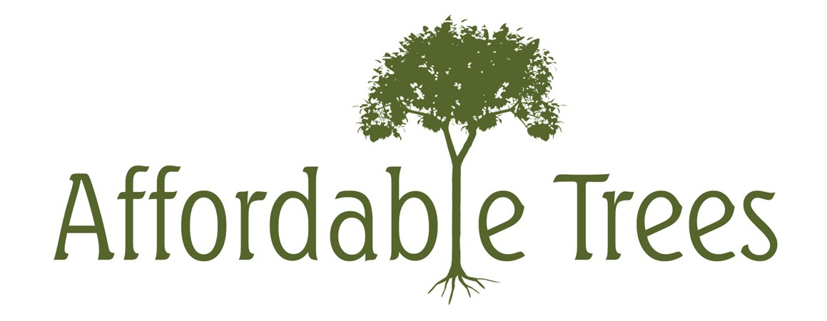 Logo for Affordable Trees LLC