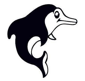 DOLPHIN POOLS & SPAS logo