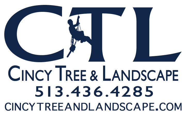 Avatar for Cincy Tree & Landscape