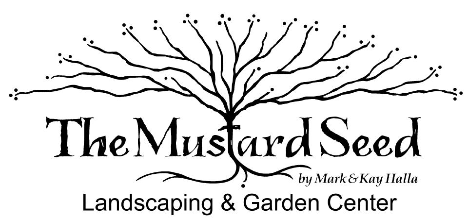 Avatar for THE MUSTARD SEED