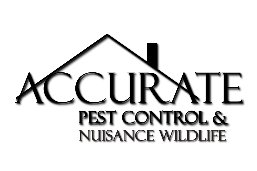 Logo for Accurate Pest Control