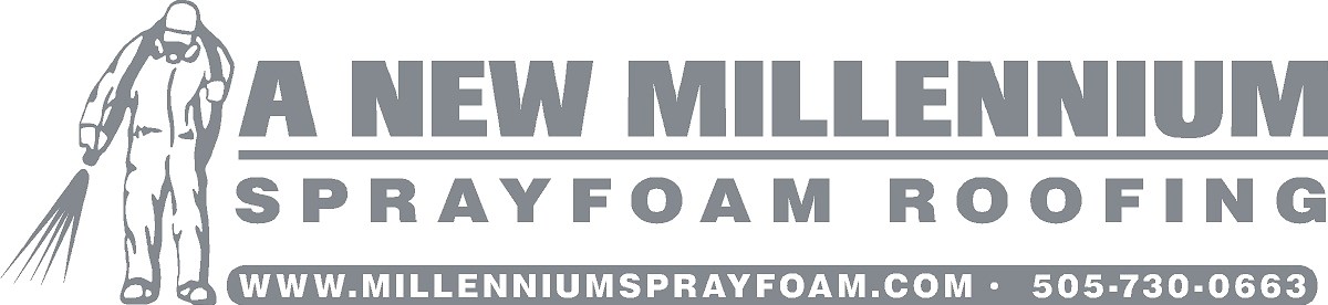 Logo for A New Millennium Inc