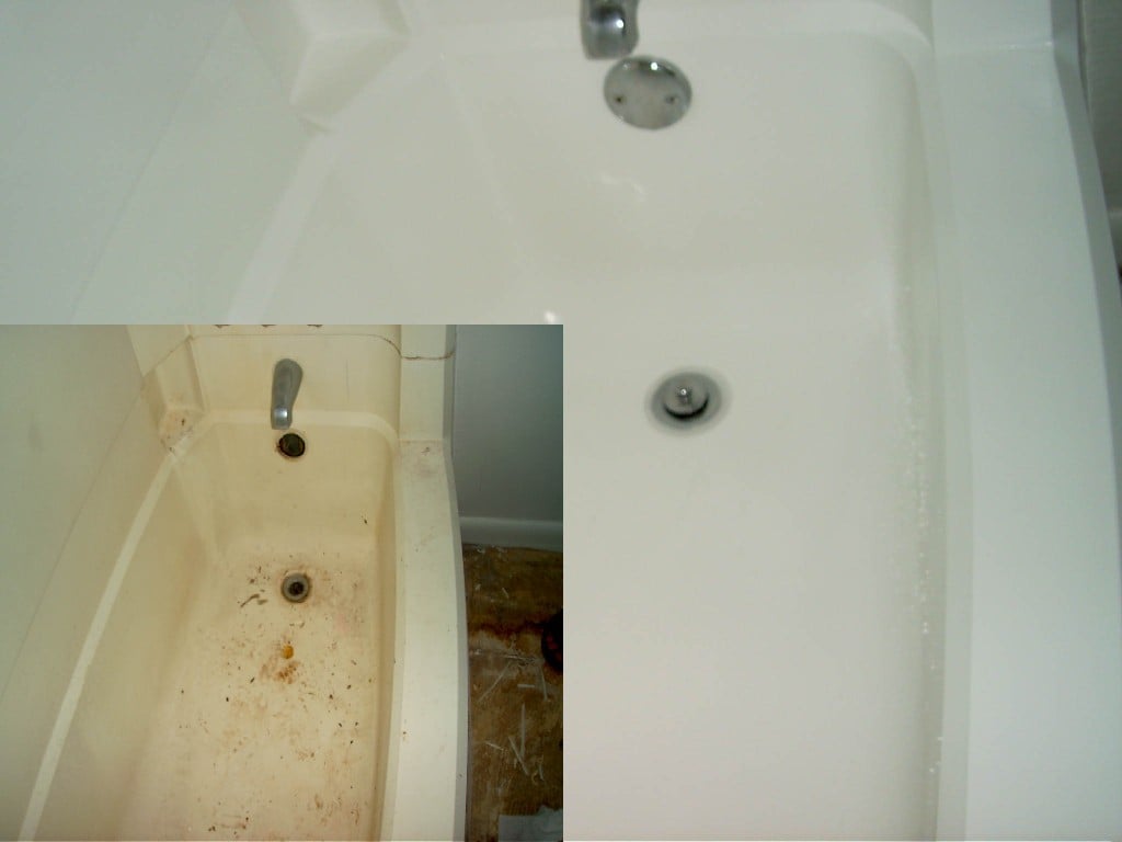 Avatar for Surface Renew Inc.