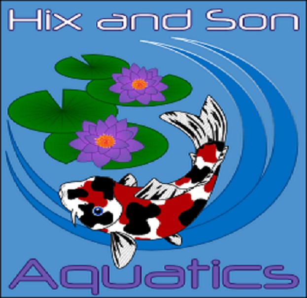 Avatar for Hix & Son Aquatics