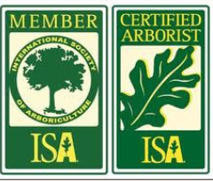 Avatar for Drendel's Tree Service Inc