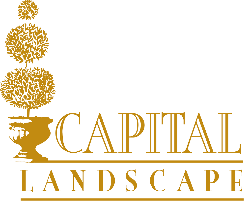 Logo for Capital Landscape