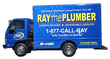Logo for RAY THE PLUMBER INC