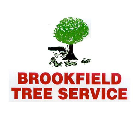 Logo for BROOKFIELD TREE SERVICE