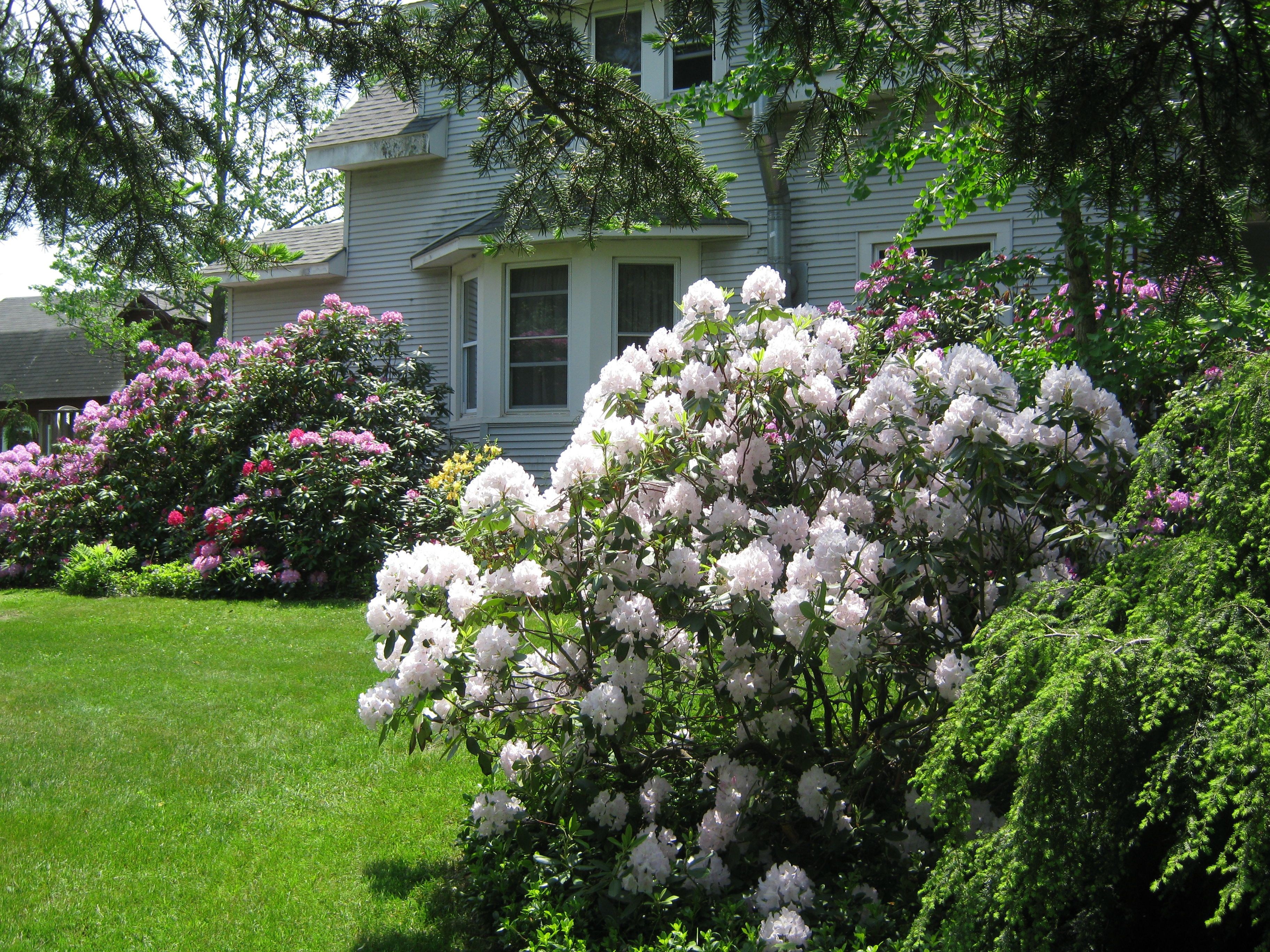 Logo for Christman Landscaping