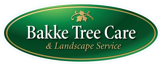 EXPERT TREE SERVICE (DBA: BAKKE TREE CARE) logo