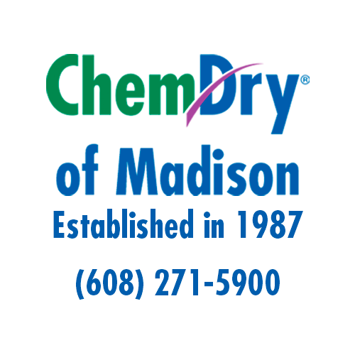 Avatar for Chem-Dry of Madison
