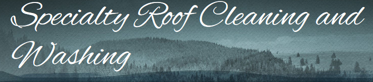 Avatar for ROOF WASHERS OF INDIANA