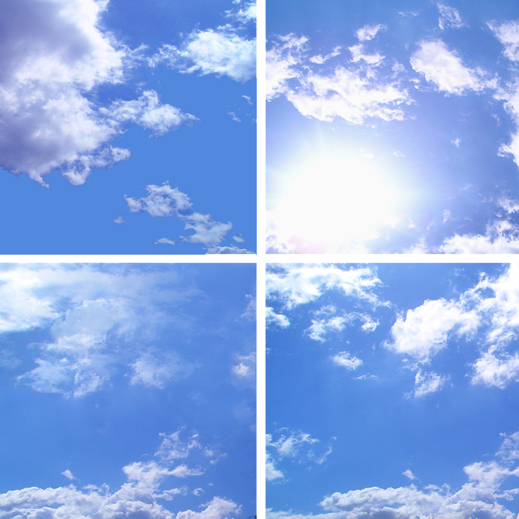 B & B Window and Gutter Cleaning logo