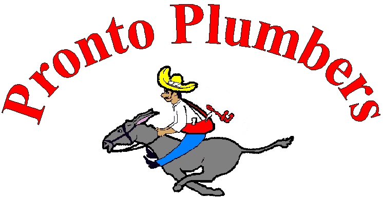 Avatar for Pronto Plumbers Inc.