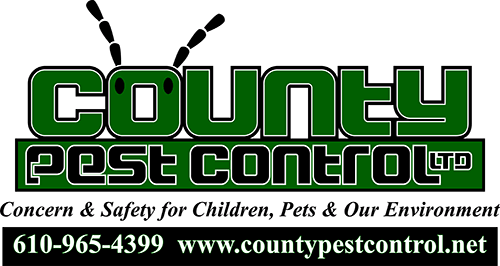 Avatar for County Pest Control