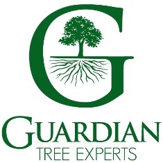 Avatar for Guardian Tree Experts