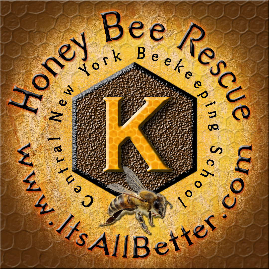 Avatar for Its All Better