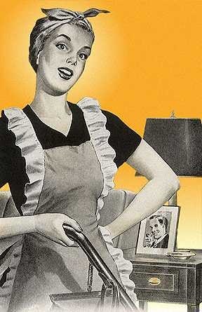 Logo for Leza B's Cleaning & Home Sitters Inc