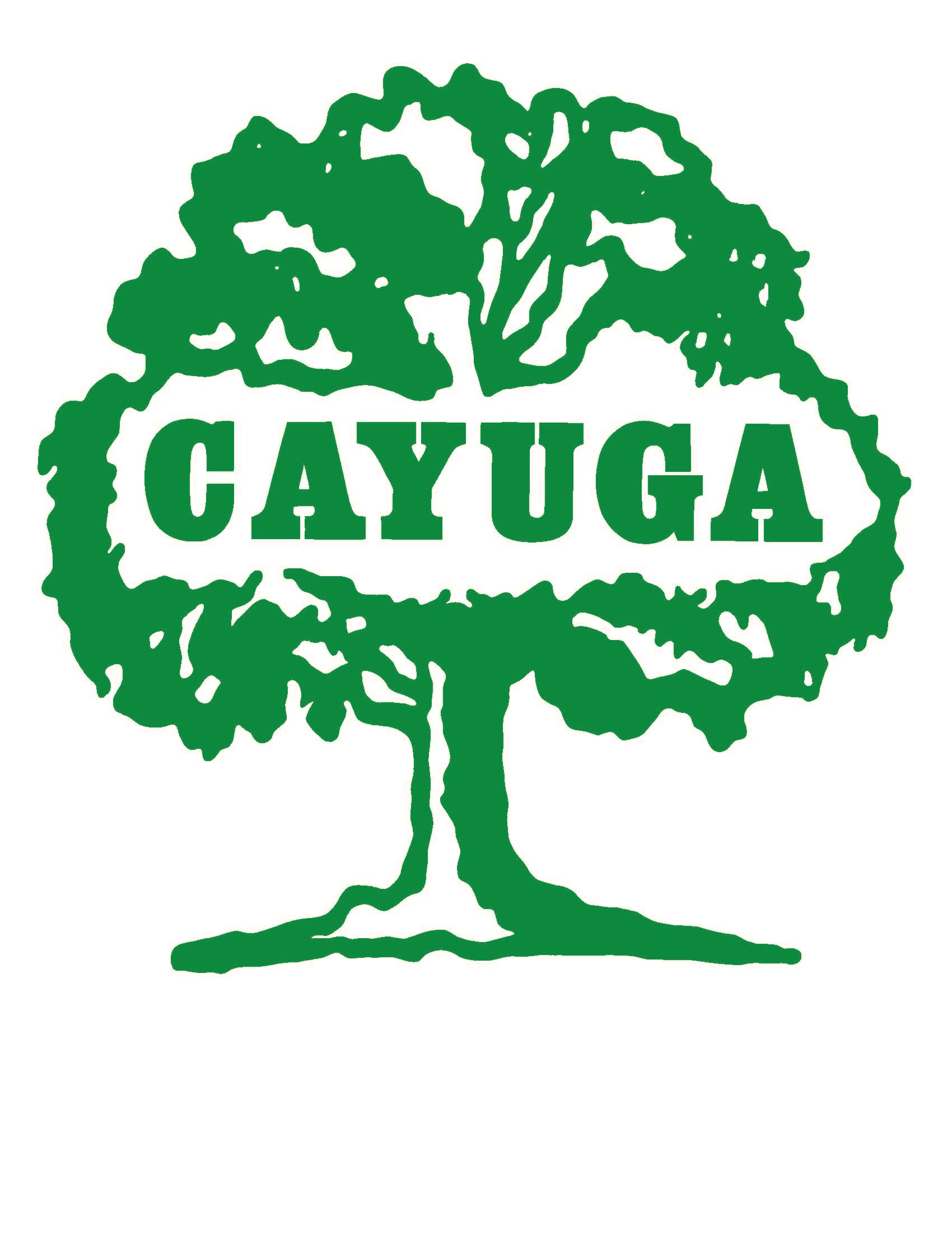 Logo for Cayuga Tree Service Inc