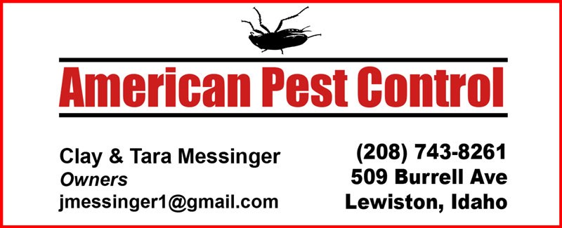 Avatar for AMERICAN PEST CONTROL