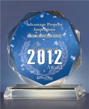 Logo for Advantage Property Inspections