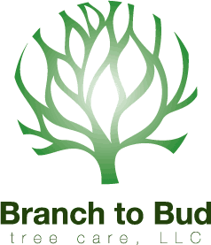 Avatar for Branch to Bud Tree Care, LLC
