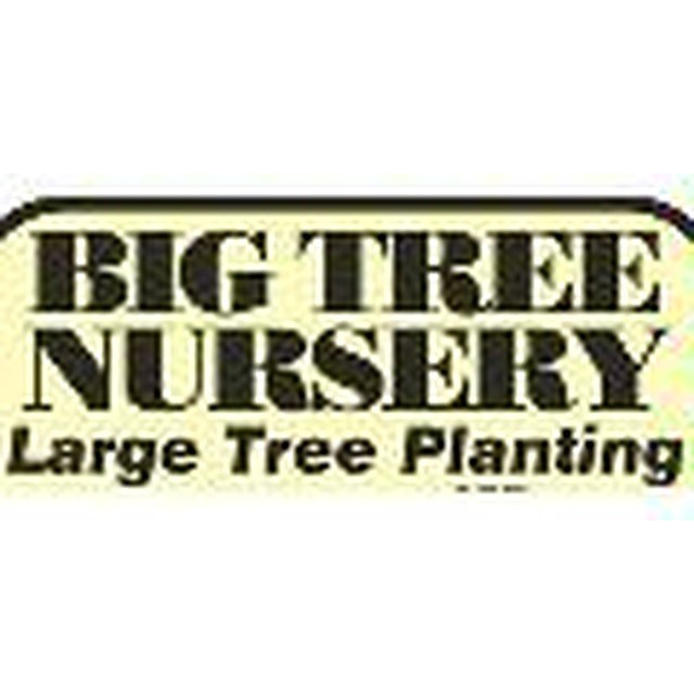 Avatar for Big Tree Nursery