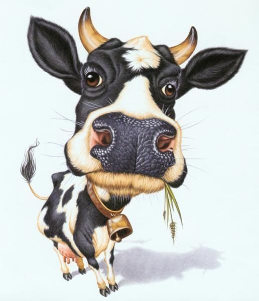 Avatar for FatCow Express