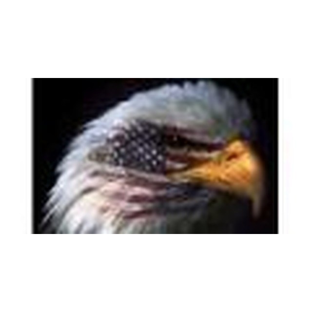 Avatar for Eagle Services