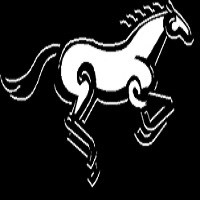 Avatar for Midnight Run Services