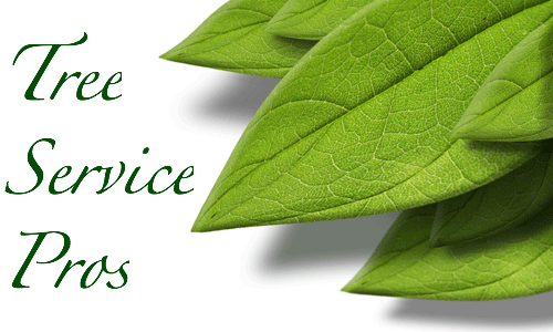 Avatar for Tree Service Pros