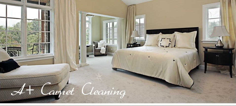 Avatar for A Plus Cleaning Services