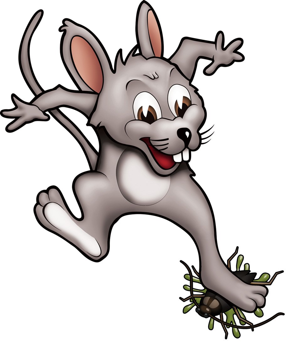 Logo for A & A Pest Control Inc