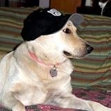 Avatar for James J. Swiggum Construction