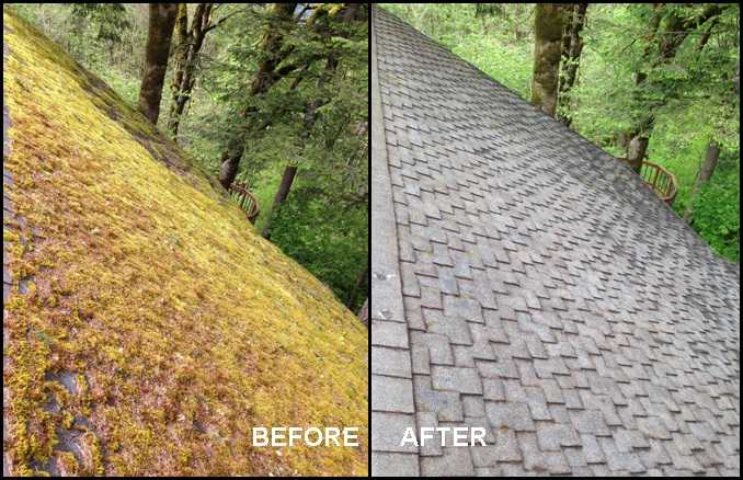 Avatar for Columbia Gutter Cleaning LLC