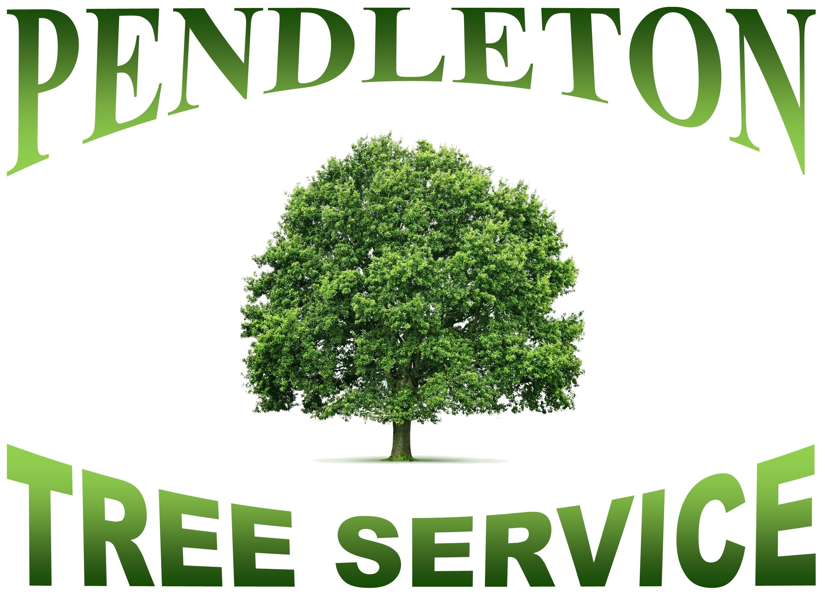 Pendleton Tree Service logo