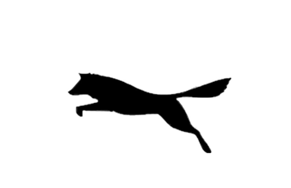 Avatar for COYOTE GARAGE DOORS LLC