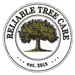 Avatar for Reliable Tree Care