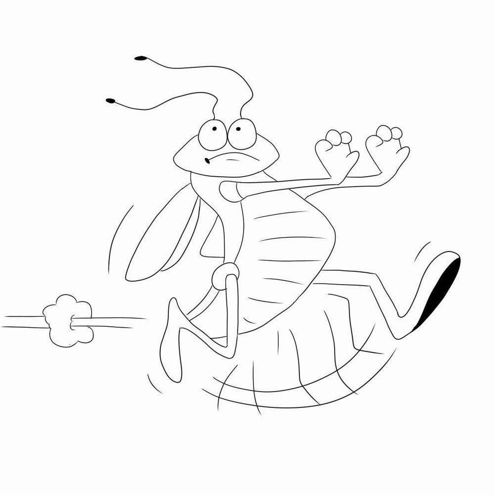 Avatar for HOOSIER TERMITE & PEST CONTROL