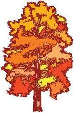 Avatar for Essner Tree Service