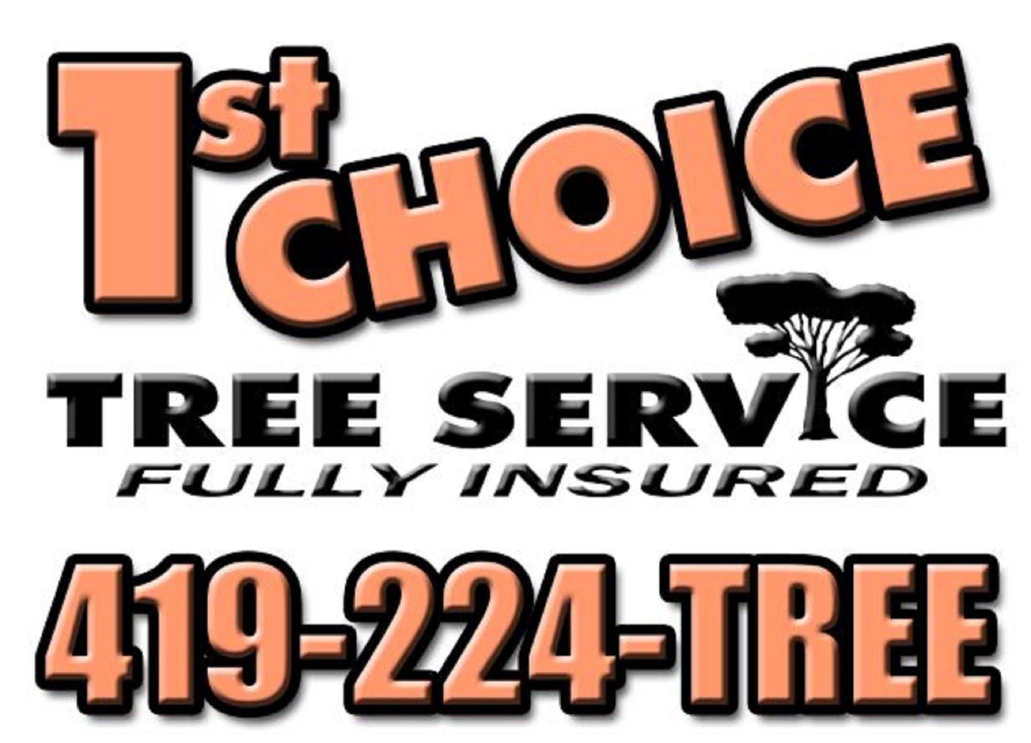 Avatar for 1st Choice Tree Service