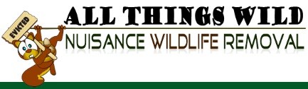 Avatar for All Things Wild, LLC.