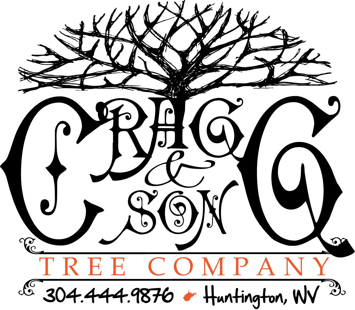Cragg & Son Tree Company, LLC logo