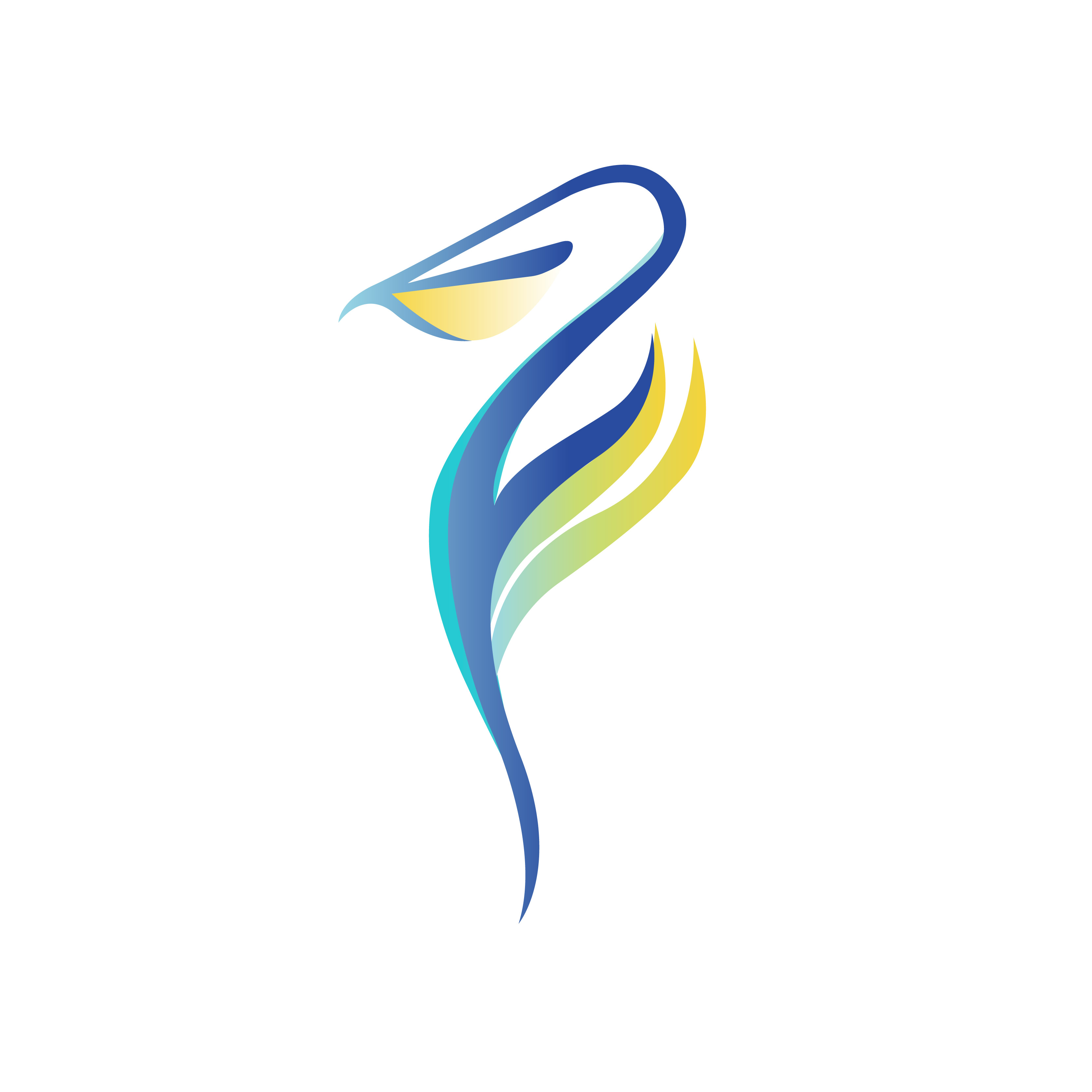 Logo for Pelican Pools and Design