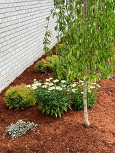 Avatar for CMGD Holdings, LLC