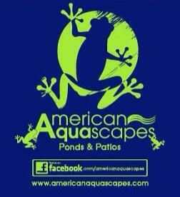 Avatar for American Aquascapes
