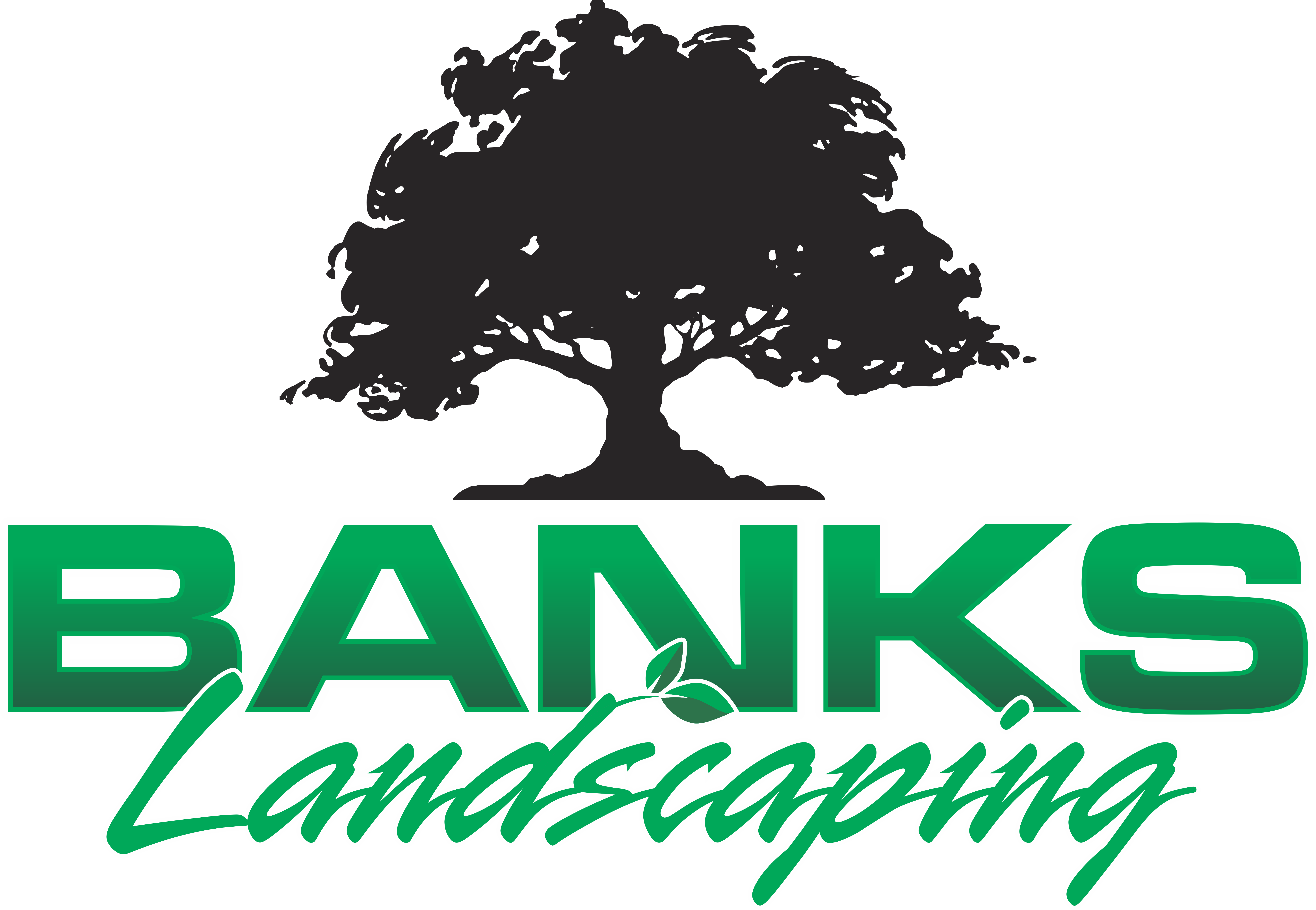 Avatar for Banks Landscaping and Grading