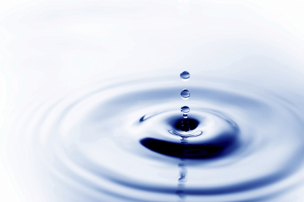 Avatar for Carolina Waters and Air Inc